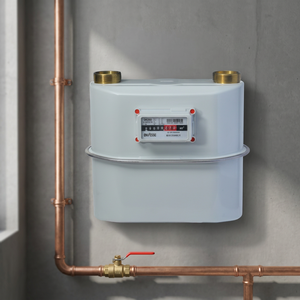 Compteur de gaz à diaphragme industriel avec boîtier en acier G10 - Product Image 2
