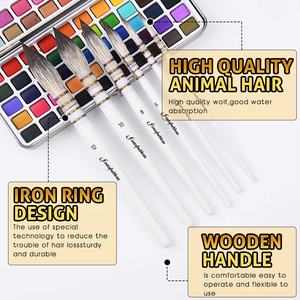 Kit de pinceaux à manche blanc en poils naturels pour artiste aquarelliste OEM pour artiste et débutant - Product Image 5