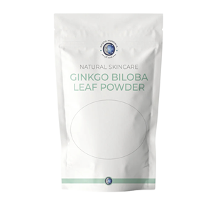 Poudre d'extrait de feuille de Ginkgo Biloba 1kg Ingrédient botanique naturel pour soins de la peau Commandes en gros - Product Image 1