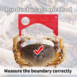 Règle de mesure du homard et du crabe phosphorescent de 7 pouces - Product Image 5