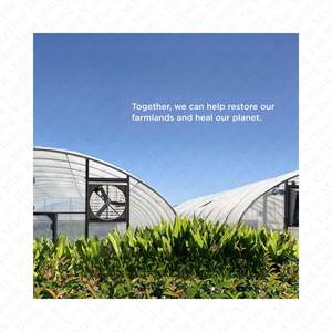 סיטונאי רב קולגן פפטיד כמוסות פפטיד תרופות טיפול העור סוג i, ii, ii, v, x הידרוליזד תוספי קולגן - Product Image 6