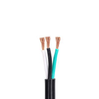 300/500V 2 Core RVV Câble en cuivre Flexible 1.5mm2 2.5mm2 Fils électriques noirs PVC isolé solide nu pour l'application de puissance