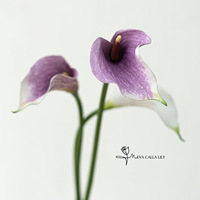 47cm Realistische EVA Künstliche Calla-Lilien Blumen Brautstrauß Tischdekoration Hochzeitsdekoration Duftend Langlebig