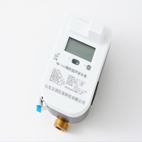 OEM Support DN15 NB-IoT Smart Ultrasonic Water Meters Brass Body Valve Control IP68 R200 Residential Flow Meter