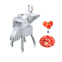 Automatische fruitblokjes-snijder voor appel, ananas en mango