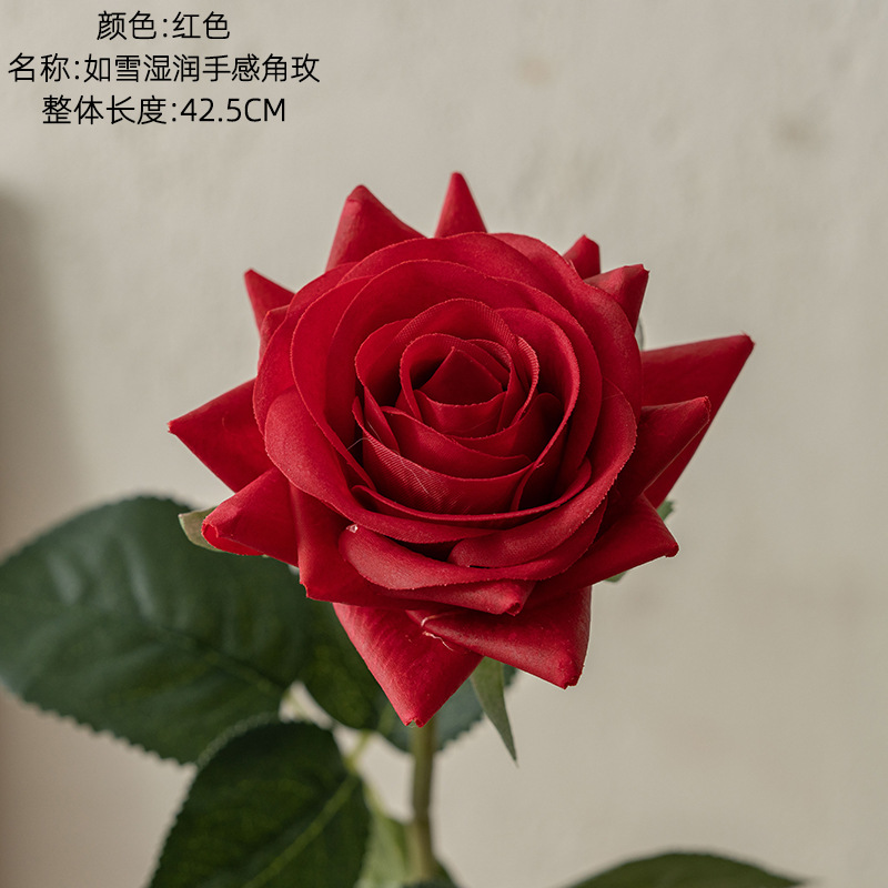 Rouge