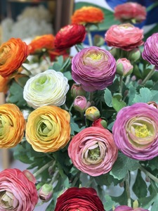 <span class=keywords><strong>G</strong></span>-25060501Artificial di loto floccato di seta di loto floccato fiori luliani vendita calda artificiale festa di nozze decorazione di rugiada loto - Product Image 6