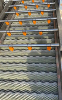 Laveuse industrielle à rouleaux pour légumes racines (pommes de terre, carottes, gingembre, ail) – Nettoyage et pelage en ligne de production