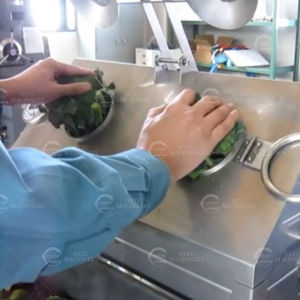 เครื่องตัดและแยกช่อบร็อคโคลี่กึ่งอัตโนมัติอุปกรณ์แปรรูปผัก304ความแม่นยำสูง - Product Image 2