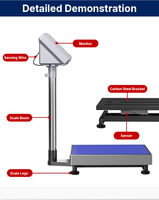 Báscula Industrial de Banco, Sistema de Pesaje Electrónico de 300 kg, Pantalla LED, OEM Disponible