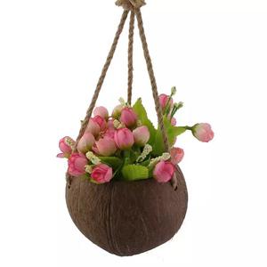 Fantaisie Minimaliste Sculpté À La Main Naturel À La Main Suspendus Coquille <span class=keywords><strong>De</strong></span> Noix <span class=keywords><strong>De</strong></span> Coco Fleur Pots <span class=keywords><strong>De</strong></span> Plantes Logo OEM pour <span class=keywords><strong>Jardin</strong></span> - Product Image 3