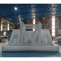 Château Gonflable Commercial Double Toboggan pour Mariages, en PVC Écologique, Utilisation Intérieure/Extérieure, pour Enfants - Grande Vente