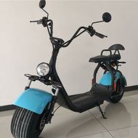 EEC COC a approuvé la batterie de vélo électrique de scooter de 1500w Scooters électriques de Citycoco 3000W pour des adultes