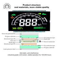 Pantalla LCD Segmentada VA de Alto Contraste para Motocicleta, Panel de Velocímetro Digital Multicolor, OEM ODM