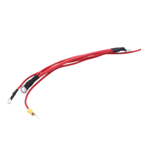 Harnais de câblage personnalisé en usine JST TE Molex, câble Amass LVDS, faisceaux de câblage complets pour l'électricité