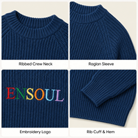 Pulls en tricot épais à col ras du cou et manches raglan pour hommes, coupe décontractée, logo brodé, tricot texturé, OEM ODM, mode hiver