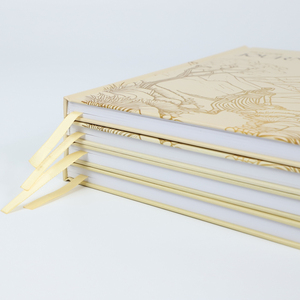Carnets de notes et agendas B5 de luxe personnalisés à couverture rigide pour étudiants – Fournisseur d'or - Product Image 5