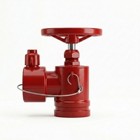 Hydrant d'incendie intérieur SN65 en acier inoxydable 304/316 pour la sécurité incendie des bâtiments intérieurs / Industrie incendie australienne / Réducteur de pression / Pompe à eau
