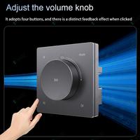86 Düğme Tipi Ses Duvar Amplifikatörü Ev Sineması Stereo Ses Sistemi Otel Arka Plan Müzik Çalar Bluetooth AUX TF Kontrol Paneli