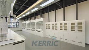 Campana de humos de PP para laboratorio resistente a productos químicos, precio del equipo de humos de laboratorio - Product Image 4