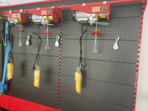 <span class=keywords><strong>Polipasto</strong></span> eléctrico personalizado de 220V Pa300 Cabrestante eléctrico 300kg Mini <span class=keywords><strong>polipasto</strong></span> eléctrico de cable - Product Image 2