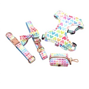 Set Pettorina per <span class=keywords><strong>Cani</strong></span> con Stampa Cuori Colorati, Collare, Guinzaglio, Papillon e Porta Sacchetti Igienici, Personalizzabile con Logo Inciso - Product Image 1
