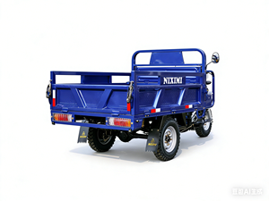รถสามล้อบรรทุกหนัก NIXIMI 200CC CG200 สำหรับตลาดแอฟริกา รับน้ำหนักได้ 1000 กก. รถจักรยานยนต์สามล้อ NIXIMI - Product Image 1