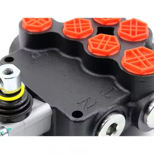Válvula de Control Direccional Hidráulica Manual de 2 Bobinas P80-G12-G34-OW Directo de Fábrica con Servicio OEM y ODM - Product Image 5
