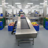 Sorteermachine voor appels, uien, citrusvruchten en groenten