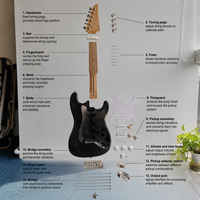 Guitare électrique personnalisée EARTHGRACE, 6 cordes, manche en érable, micros S-S-H, corps plein, pour débutants, étudiants et performances