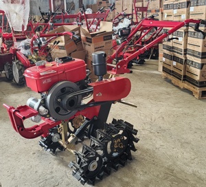Trattore Agricolo Filippine 180E/9HP Motore <span class=keywords><strong>Diesel</strong></span> Raffreddato ad Acqua a Doppio Binario Cingolato Mini Motozappa - Product Image 5