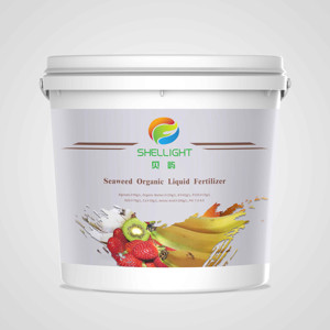 Extrait d'algues organiques Shellight <span class=keywords><strong>Engrais</strong></span> liquide <span class=keywords><strong>vert</strong></span> à l'acide alginique Agriculture Type d'acide aminé NPK d'origine végétale Utilisation des cultures - Product Image 3