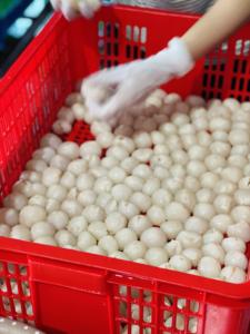 Lichi Orgánico Congelado Estándar de Exportación, Envasado al Vacío a Granel, Sin Azúcar, para Bebidas, Postres y Mezclas de Frutas - Product Image 4