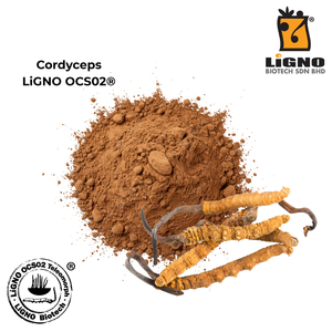 Fabricante de Malasia Ophiocordyceps sinensis LiGNO OCS02 Certificado Halal Kosher Grado Animal OEM ODM Materia Prima Veterinaria - Product Image 2