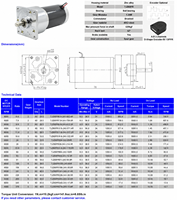 Moteur à engrenages CC à balais 24V à couple élevé, 60mm, avec option de frein et option d'encodeur pour pompe péristaltique