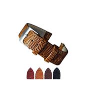Correas de Reloj de Cuero de Lagarto Clásico y Resistente Diloy, de Acero y PC, de Lujo, Tamaños de 12MM-22MM, Venta al Por Mayor del Fabricante, Español