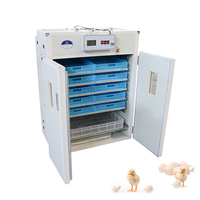 Incubateur automatique à œufs de volaille 880 œufs / Machine d'éclosion d'œufs