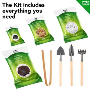 DIY Starter <span class=keywords><strong>Terrarium</strong></span> Kit Selbst haltende Garten flasche Ökosystem Moos Boden Aktivkohle Steine Vase Dekor Werkzeuge-Ganz Glas - Product Image 2