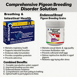 Poudre de mélange pour la santé respiratoire et intestinale des pigeons de course, best-seller, 5g/sachet, pour des yeux brillants et la protection contre l'adenovirus - Product Image 5