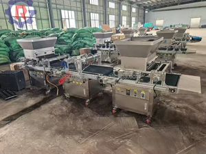 Máquina Automática para Plantar Plántulas de Vegetales, Ahorra Mano de Obra, Sembradora de Semillas en Bandejas, Cultivadora de Semillas de Flores - Product Image 4