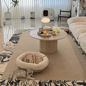 Table basse au design minimaliste et au style moderne, petite table à thé, table basse de balcon, pour salon familial, appartement, maison d'hôtes - Product Image 3