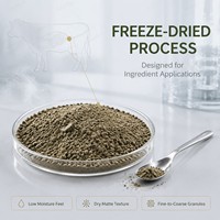 Poudre de pancréas bovin naturel de bétail nourri à l'herbe, poudre congelée de pancréas bovin, poudre de pancréas de bœuf OEM/ODM