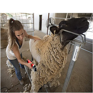 Nuevo multifuncional Alpaca grande Granja Ganado Animal Esquilador de pelo largo - Product Image 5