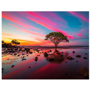 Ever Moment <span class=keywords><strong>diamant</strong></span> peinture à la main 5D bricolage <span class=keywords><strong>mer</strong></span> sous-ensemble fleur arbre plein carré perceuse strass <span class=keywords><strong>diamant</strong></span> <span class=keywords><strong>broderie</strong></span> S2F2452 - Product Image 1