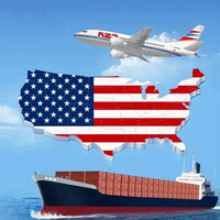 China-USA Spediteur DDP Luft- und Seelogistik Tür-zu-Tür Amazon FBA Versand