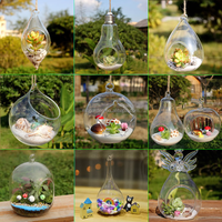 Jardinière murale, terrariums en verre transparent suspendus pour plantes aériennes, succulentes et bougies, terrarium suspendu