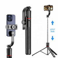 Trépied perche à selfie en acier inoxydable avec télécommande, perche extensible à 6 sections, rotation à 360°, option lumière d'appoint, compatible Android pour vlog sur téléphone