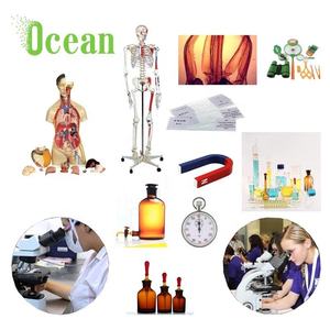 Modè<span class=keywords><strong>le</strong></span> de bronchies asthmatiques normales, modè<span class=keywords><strong>le</strong></span> médical de pathologie trachéale pour la publicité, l'éducation <span class=keywords><strong>et</strong></span> la démonstration - Product Image 6