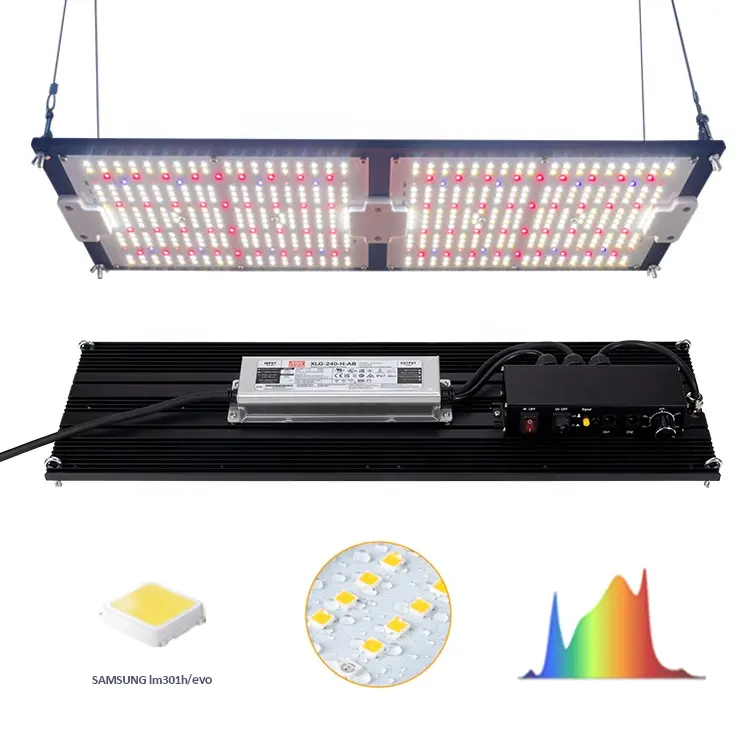 LM301H 성장 빛 240w Led 보드 삼성 lm301b 채식 Hortiboom lm281b 전체 스펙트럼 사용자 정의 UV IR 성장 Led 조명 240 와트