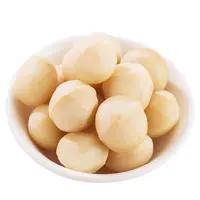 South Africa Macadamia Nuts Kernel, Natural Delicious